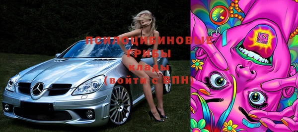 мдпв Новодвинск