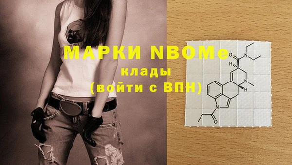мдпв Новодвинск