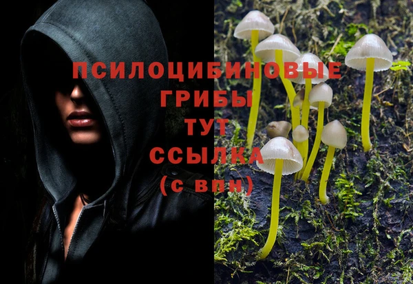 винт Арсеньев