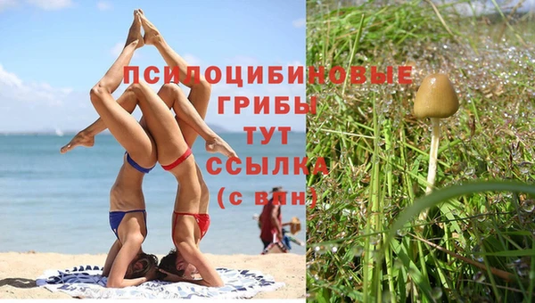 кокаин перу Аркадак